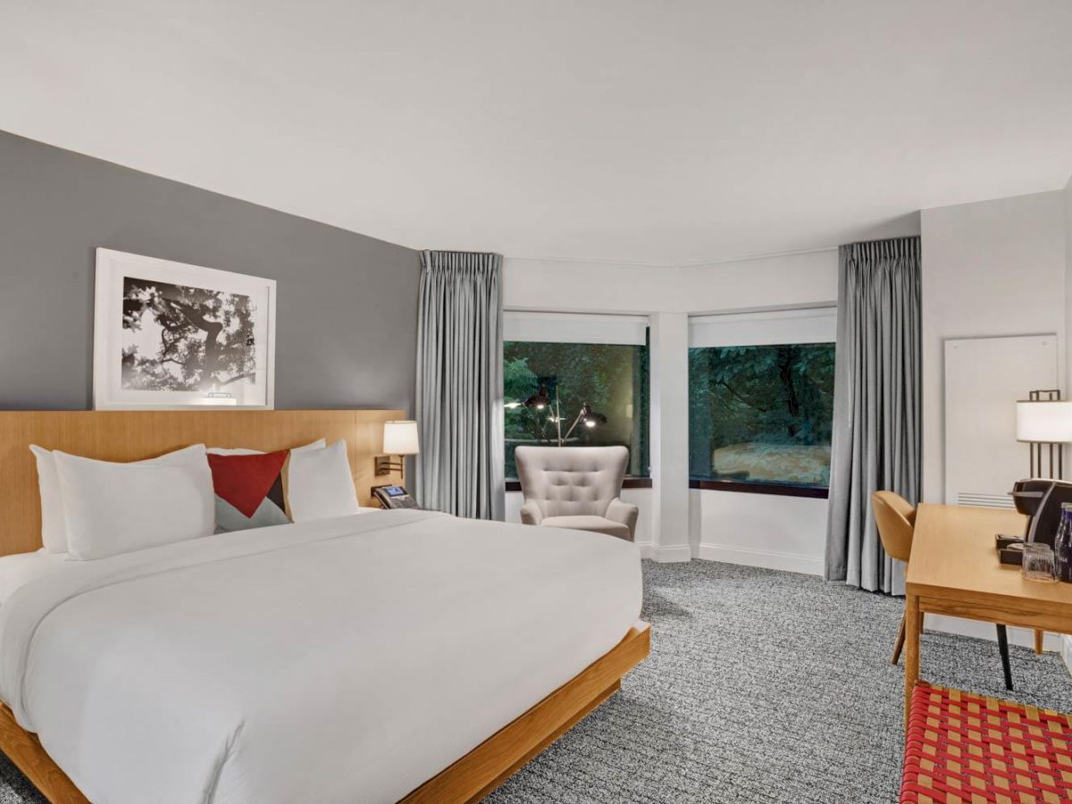 King guestroom